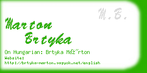 marton brtyka business card